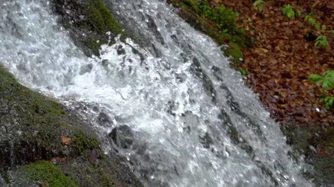 Rain forest riverwaterfall. Cascading waterfall in green forest. 스톡 동영상 150595329
