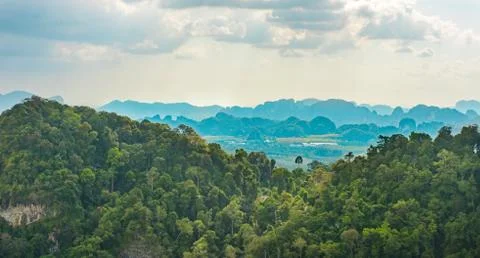 Rain forest in Thailand Stock Photos