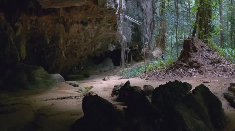 Rain Forest at Tiger Cave Temple Video stock 51024982