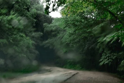 Rain in the Forest, View from behind the Windshield with Streaks and Glare Stock Photos
