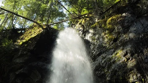 Rain forest water fall Stock Footage 102783078