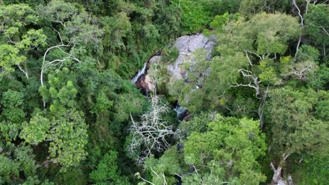 Rain forest waterfall Stock Footage 195536953