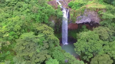 Rain forest waterfall landscape aerial view Stock Footage 96060431