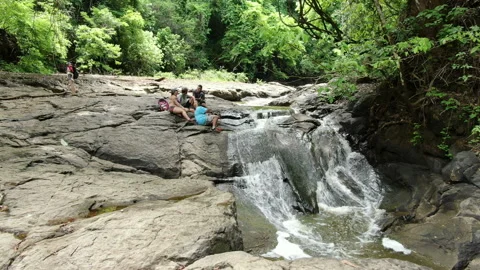 Rain forest waterfall landscape aerial view Stock Footage 110910246