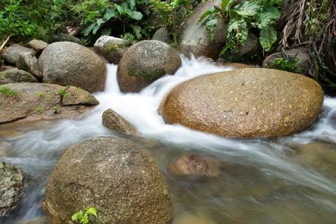 Rain forest waterfall Stock Photos