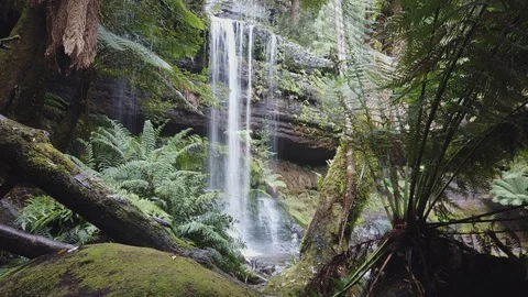 Rain forest waterfall time lapse at Russel Falls Stock Footage 106872801
