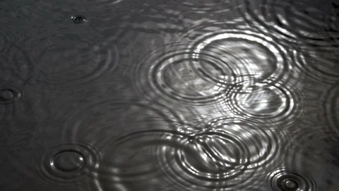 Rain forming circles on the surface of the water Stock Footage