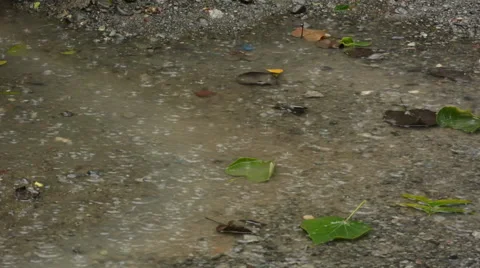 Rain forming a puddle of water on the ground Stock Footage 49147766