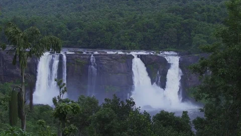 Rain forst waterfall 動画素材 71822867