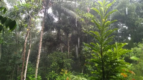 Rain in front of the house Video stock 272421523