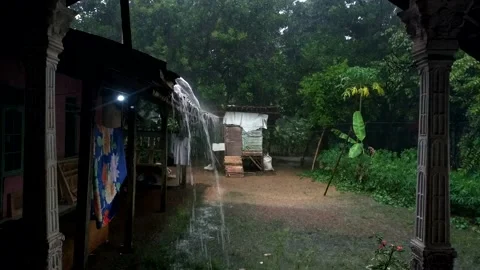 Rain in the front yard Stock Footage 212874620