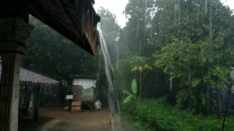 Rain in the front yard Stock Footage 212874773
