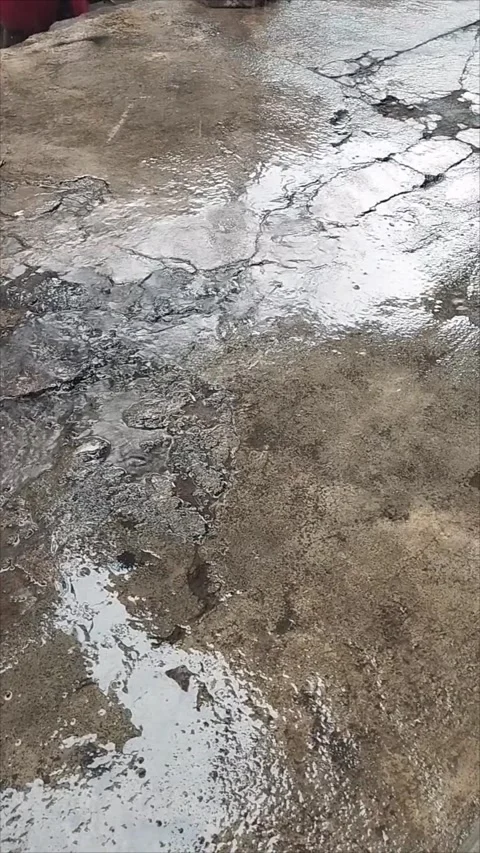 Rain in the front yard of the house Stock Footage 293119757