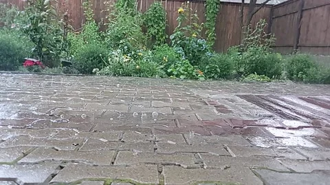 Rain on garden Stock Footage 212913818