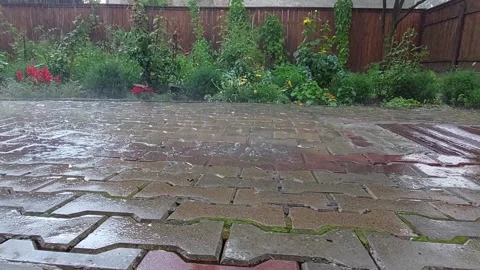 Rain on garden Stock Footage 212913882