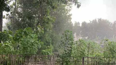 Rain in the garden Stock Footage 302738366