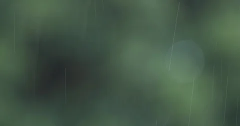 Rain in the garden with out of focus background Stock Footage 126306709