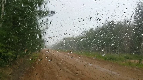 Rain on the glass Stock-Footage 81745262