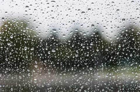 Rain on the glass Фото