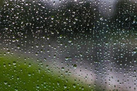 Rain on the glass Фото