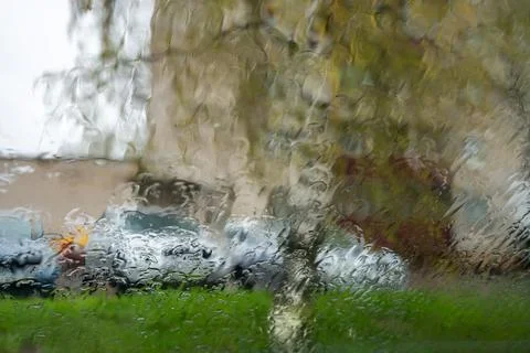 Rain on the glass Фото