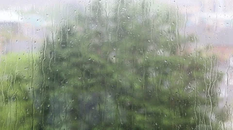 Rain on the glass tree in background Stock Footage 50009033