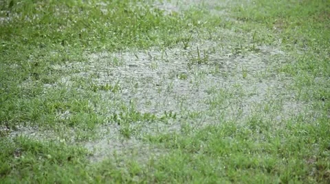 Rain On Grass 2 Stock Footage 21268356