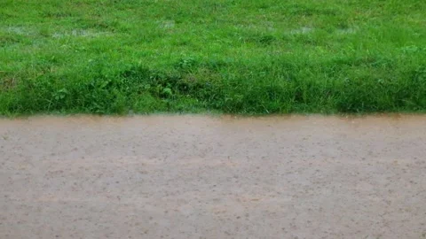 Rain on the grass on the edge of a soccer field Stock Footage 320918030