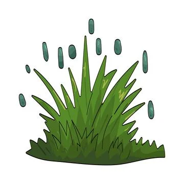 Rain grass illustration Stock Illustration