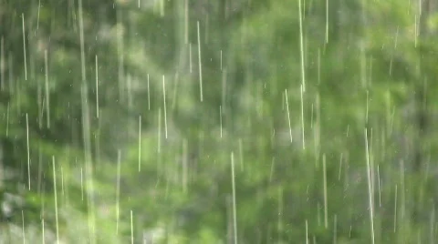 Rain, green background Stock Footage 494725