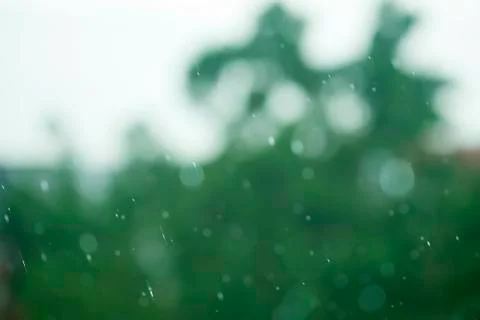 Rain with green background Stock Photos
