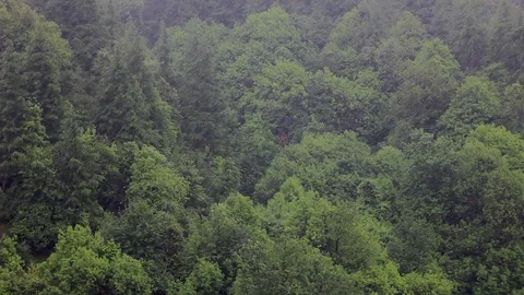 Rain in green mountain hill Stock Footage 91426988