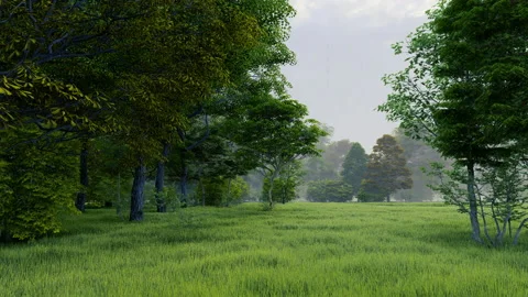 Rain in green temperate natural forest open path park with grass Видео 181452058