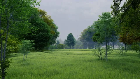 Rain in green temperate natural forest open path park with grass Видео 181453670