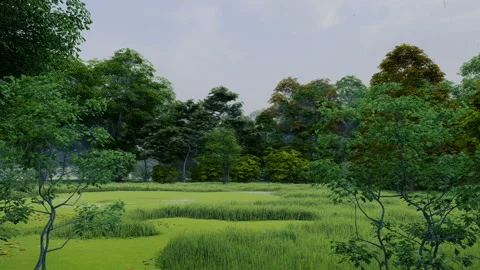 Rain in green temperate natural forest open path park with grass Видео 181453905