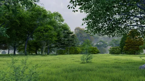 Rain in green temperate natural forest open path park with grass Видео 181453907
