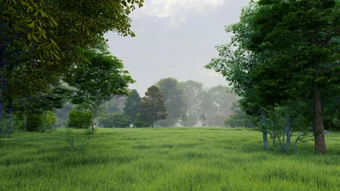 Rain in green temperate natural forest open path park with grass Видео 181454968