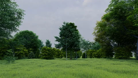 Rain in green temperate natural forest open path park with grass Stock Footage 181455058