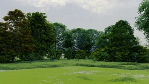 Rain in green temperate natural forest open path park with grass Stock Footage 181455334