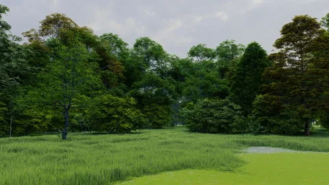 Rain in green temperate natural forest open path park with grass Stock Footage 181455435