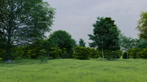 Rain in green temperate natural forest open path park with grass Stock Footage 181456541