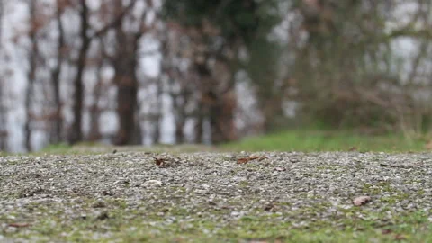 Rain on ground Video stock 148549421