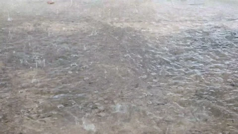 Rain on the ground Stock Footage 205473756