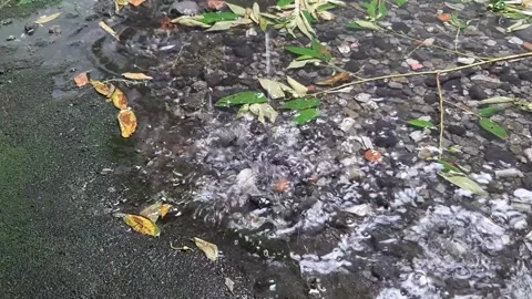Rain on Ground 動画素材 237157944
