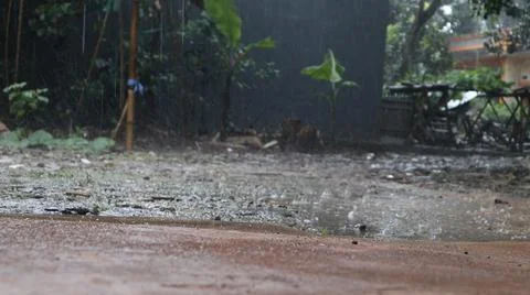 Rain on the ground Stock Photos