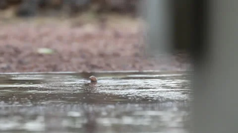 Rain Gutter with Rack Focus Stock Footage 22810820