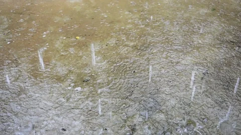 Rain with hail on the Floor Stock Footage 114950944