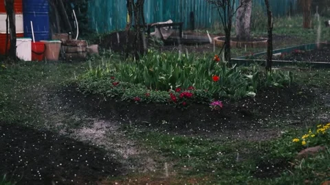 Rain with hail Stock Footage 155475211