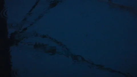 Rain in the harbor at nightfall 4925 Video stock 108945102