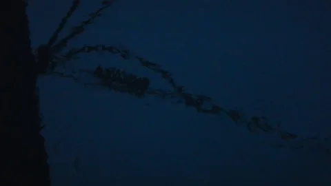 Rain in the harbor at nightfall 4926 Video stock 108945194